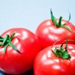 gastrofazakielce (14)