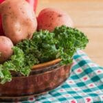 gastrofazakielce (2)