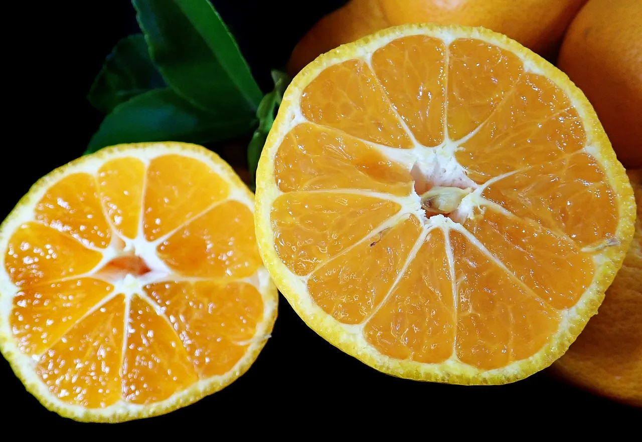 Jak dawniej wytwarzano sery w regionie? Opowieść o świętokrzyskich mleczarniach