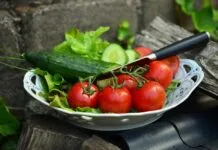 Jakie narzędzia kuchenne naprawdę warto mieć?