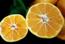 Gotowanie na dwa dni – co warto przygotować z wyprzedzeniem?